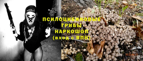 ешки Кинешма