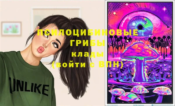 герыч Козельск