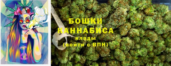 ПСИЛОЦИБИНОВЫЕ ГРИБЫ Киренск